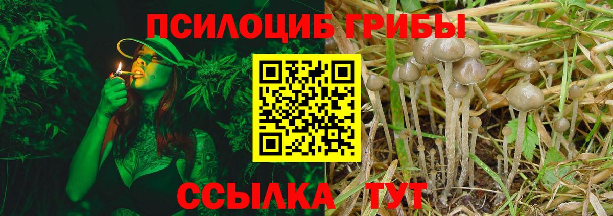 Псилоцибиновые грибы ЛСД Артём