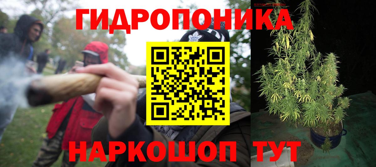 Канабис MAZAR  Артём  Шишки марихуана семена  Бошки марихуана конопля  МАРИХУАНА план 